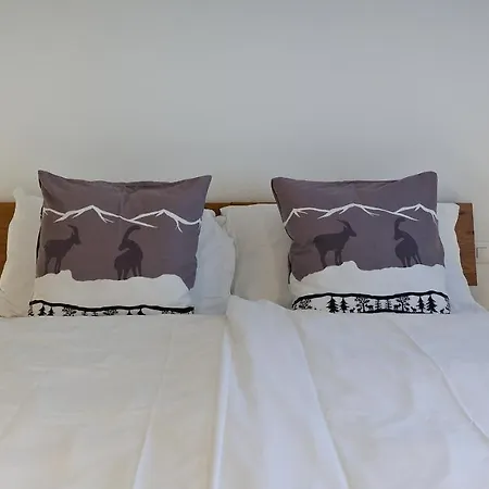 Michelangelo * Zermatt